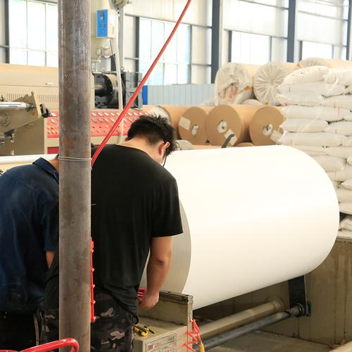 【单光淋膜纸报价 保质保量 食品淋膜纸供应商】 -青州市盛强纸制品